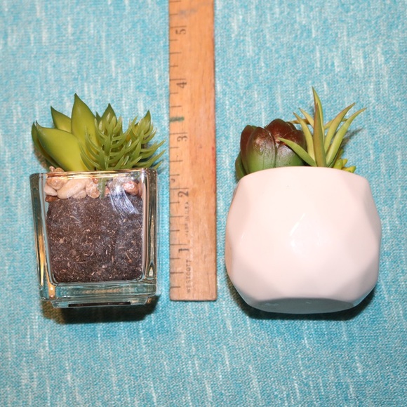 Two CUTE fake succulents! - Picture 3 of 6